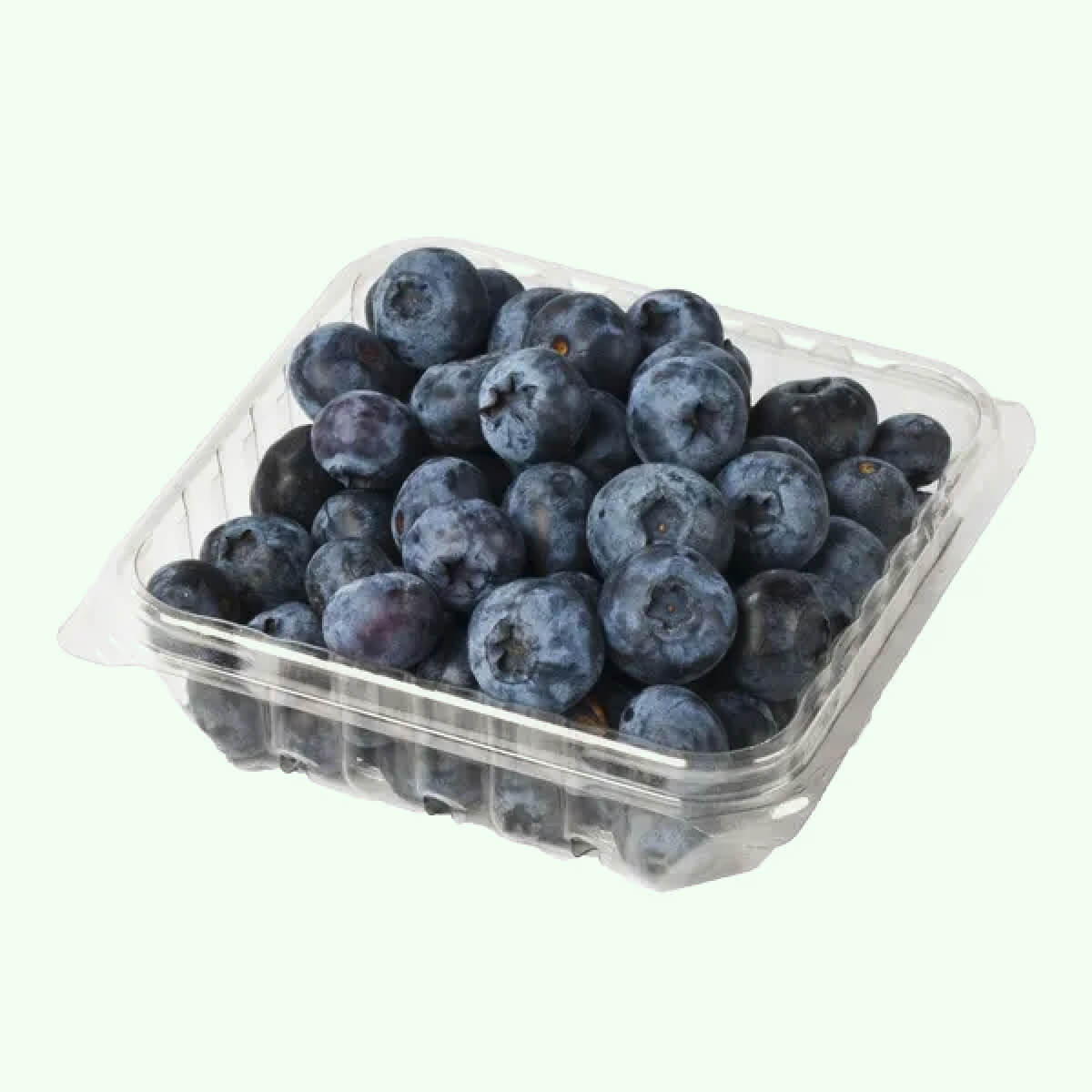 Fresh Organic Jumbo Blueberries, 6 oz