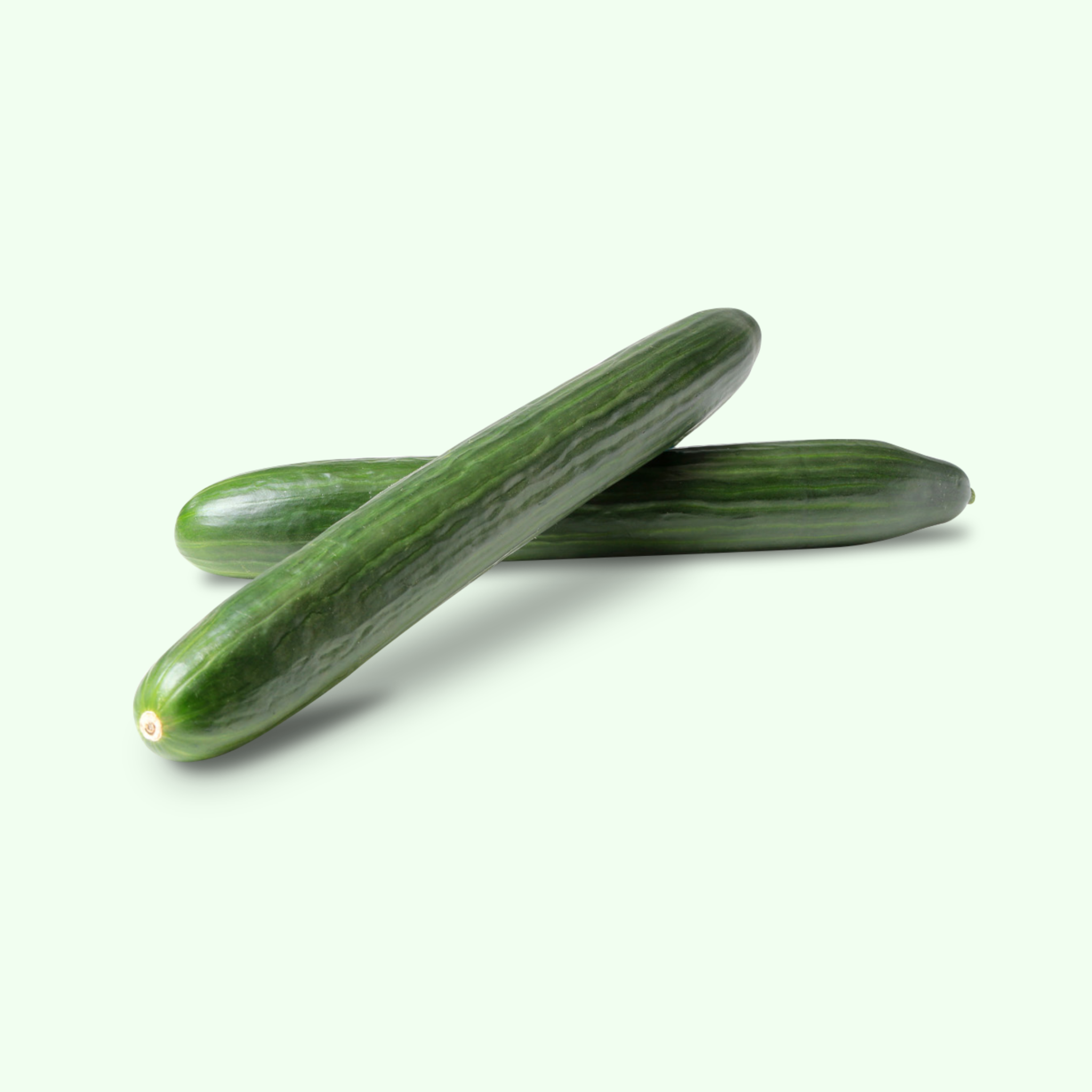 Огурец на английском. Инглиш Кукумбер. Cucumber 2. Cucumber structure. Long cucumber Pack.